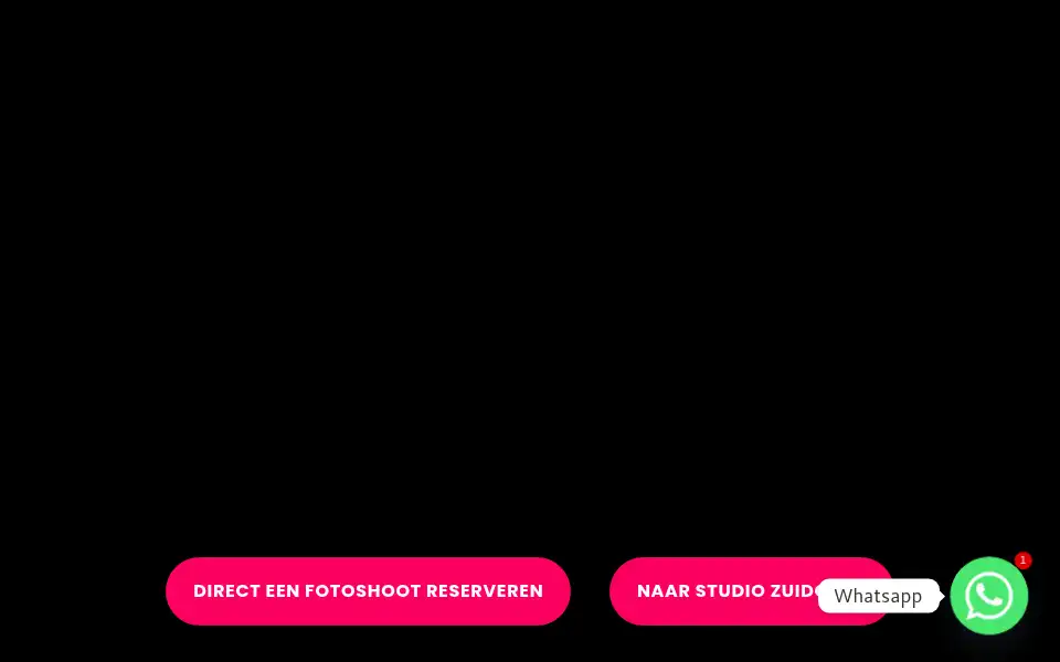 Screenshot of studioreigersbos.nl