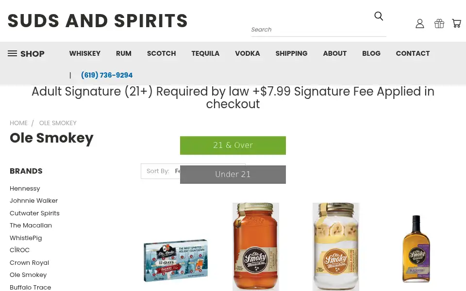 Screenshot of sudsandspirits.com