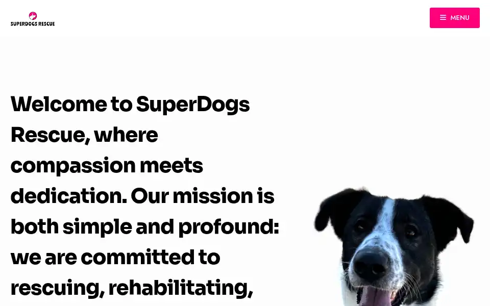 Screenshot of superdogsrescue.co.uk