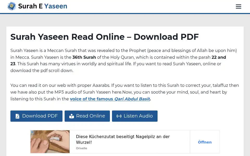 Screenshot of suraheyaseen.com
