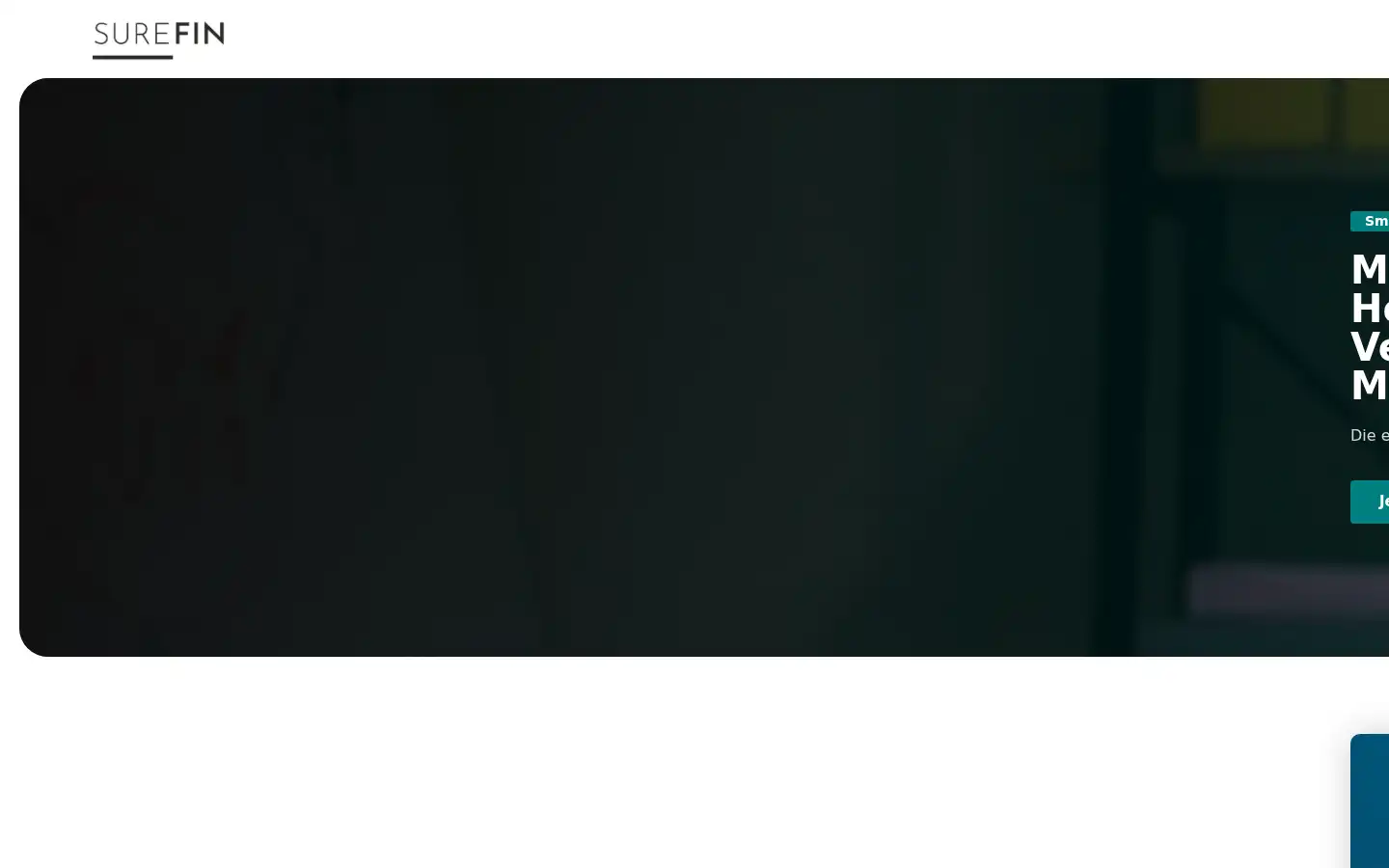 Screenshot of surefin.de