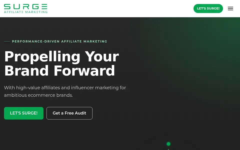 Screenshot of surgeaffiliate.com
