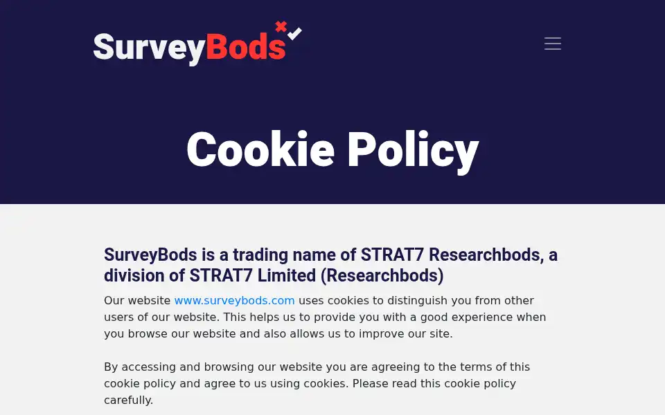 Screenshot of surveybods.com