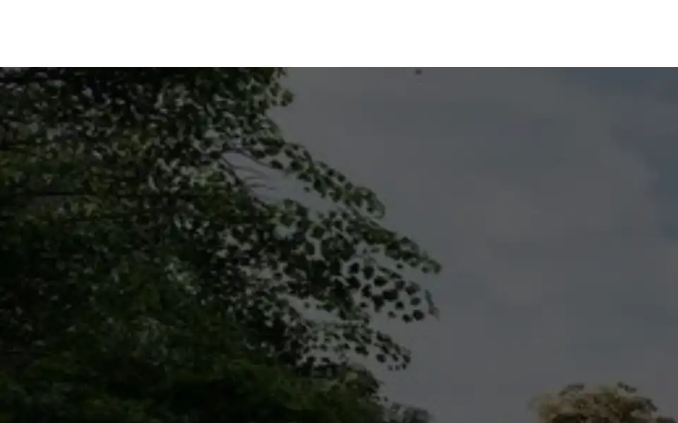 Screenshot of surveymerchant.com