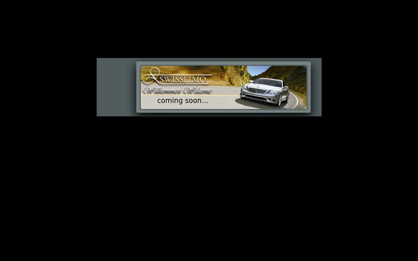 Screenshot of swissgeneralservices.com