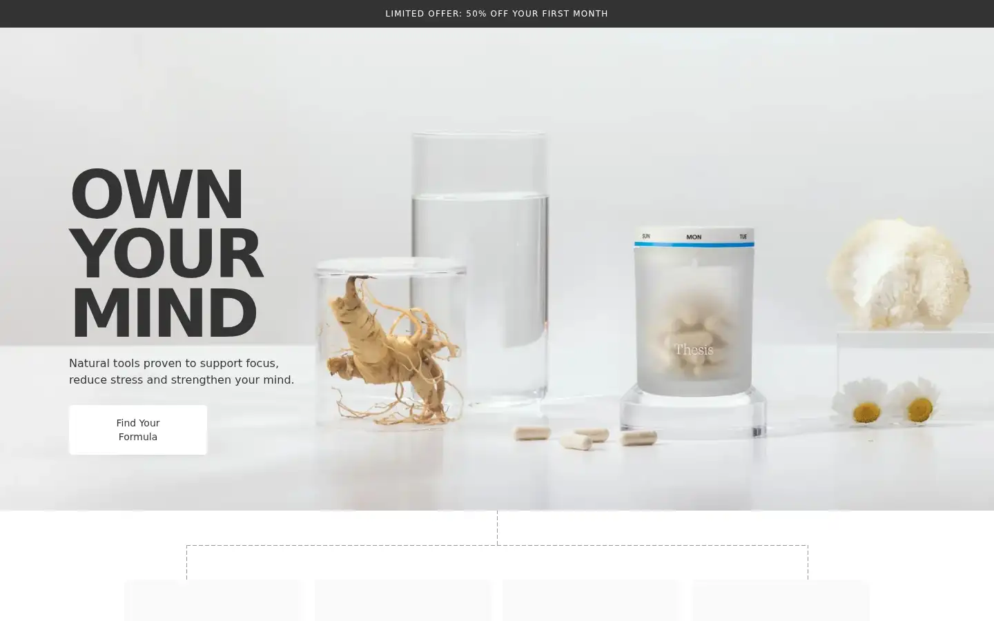Screenshot of takethesis.com