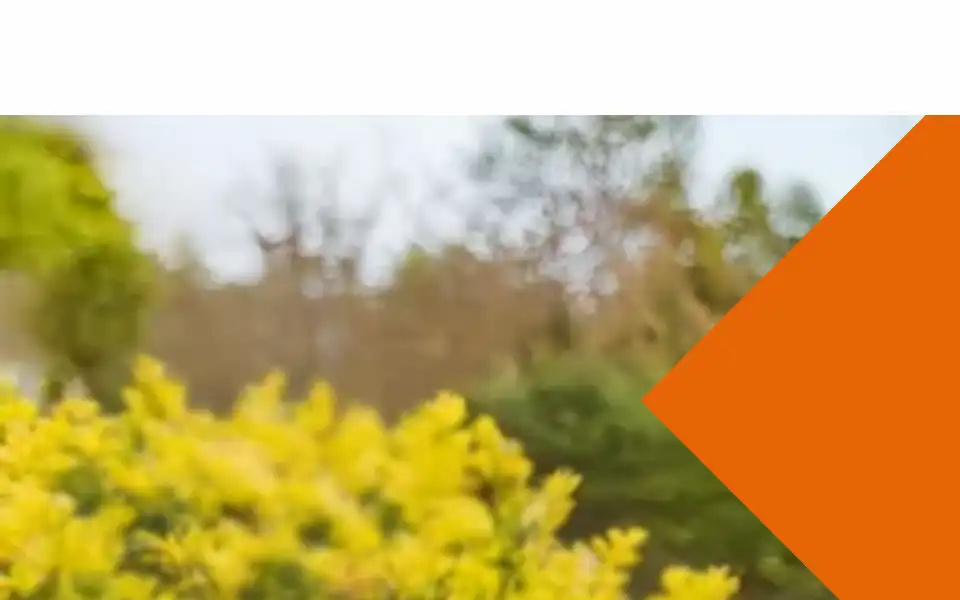 Screenshot of takkenkamp.com