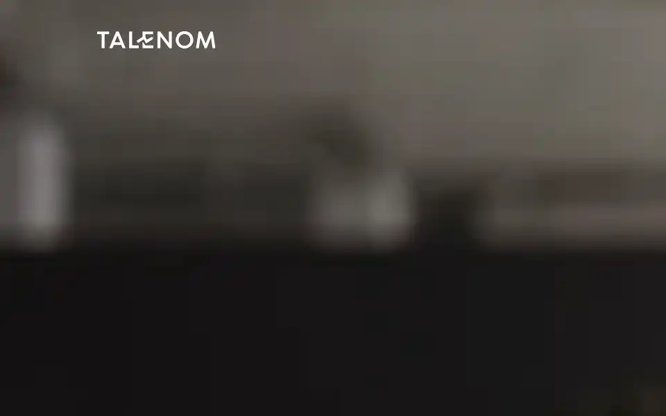 Screenshot of talenom.com