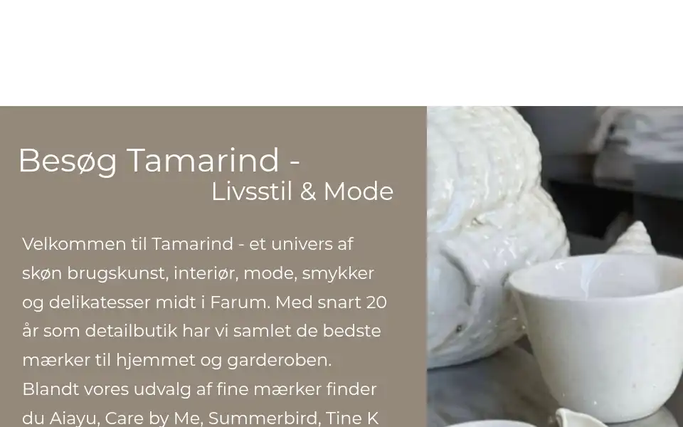 Screenshot of tamarind.dk