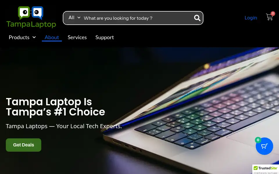 Screenshot of tampalaptop.com