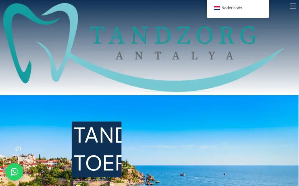 Screenshot of tandzorgantalya.com
