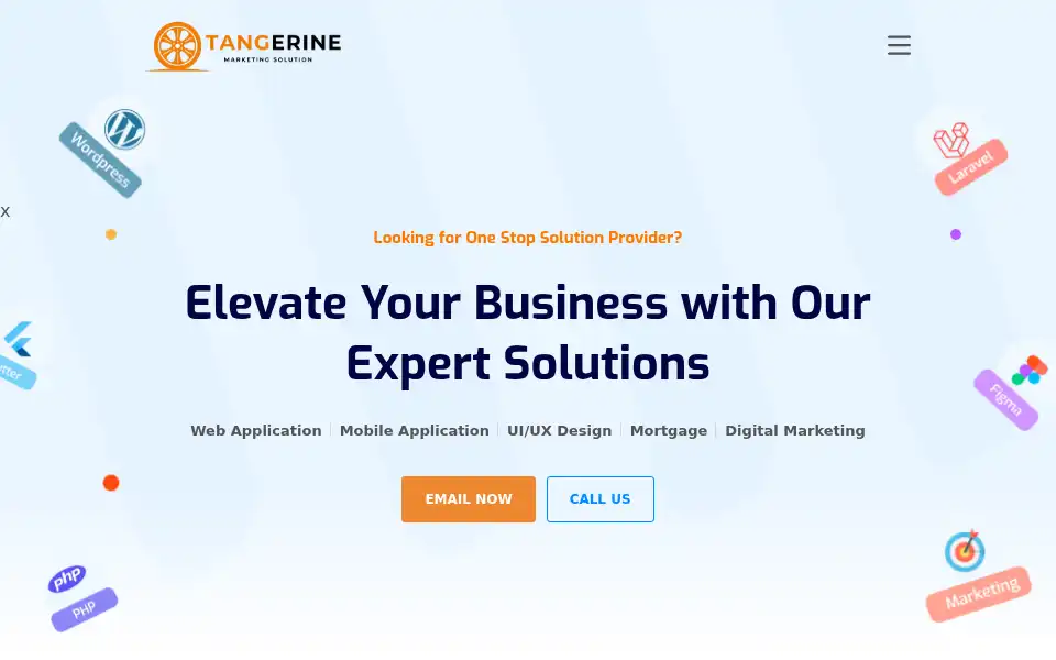Screenshot of tangerinems.com