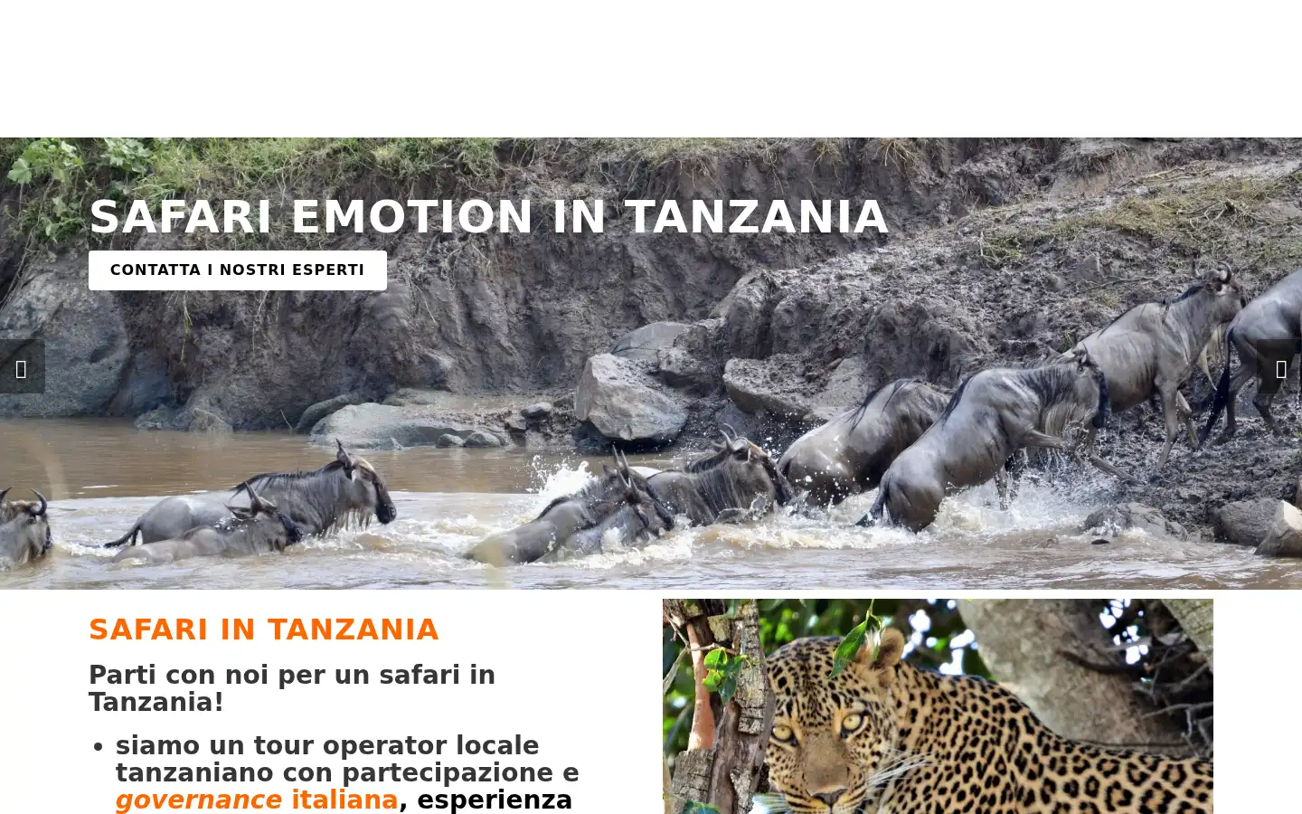 Screenshot of tanzaniaemotionsafaris.com
