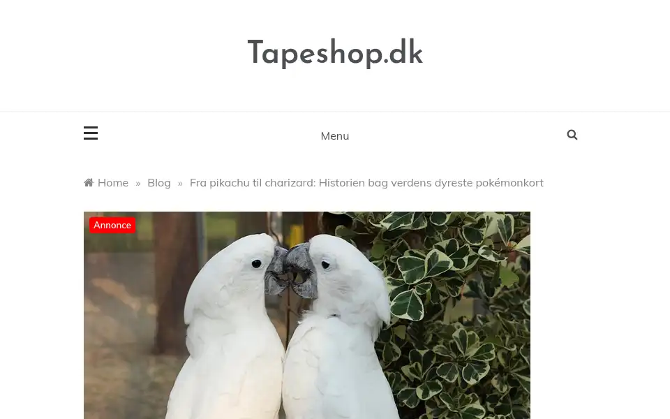 Screenshot of tapeshop.dk