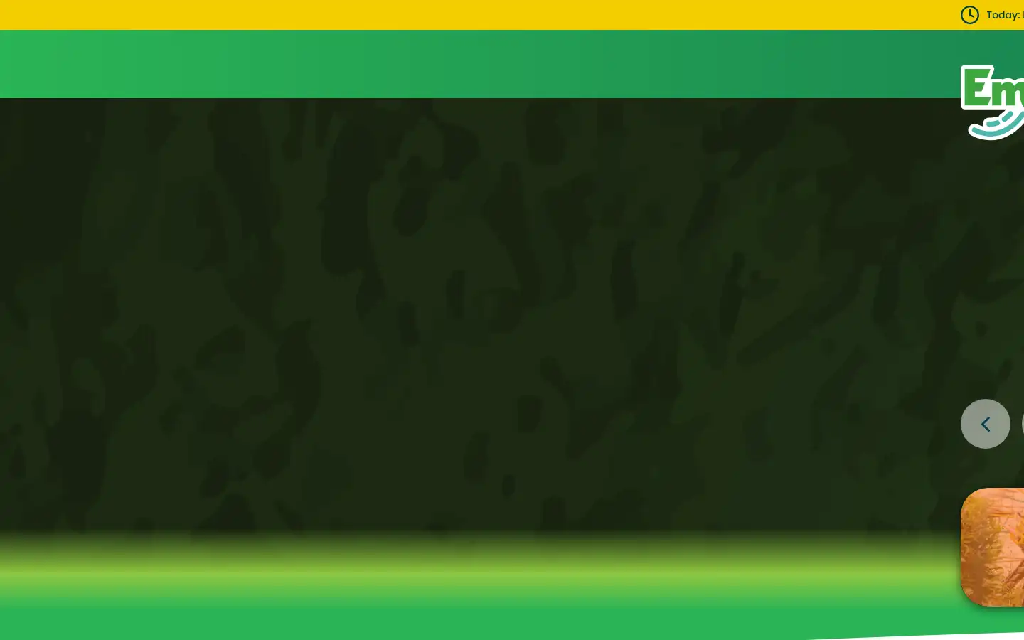 Screenshot of taytopark.ie