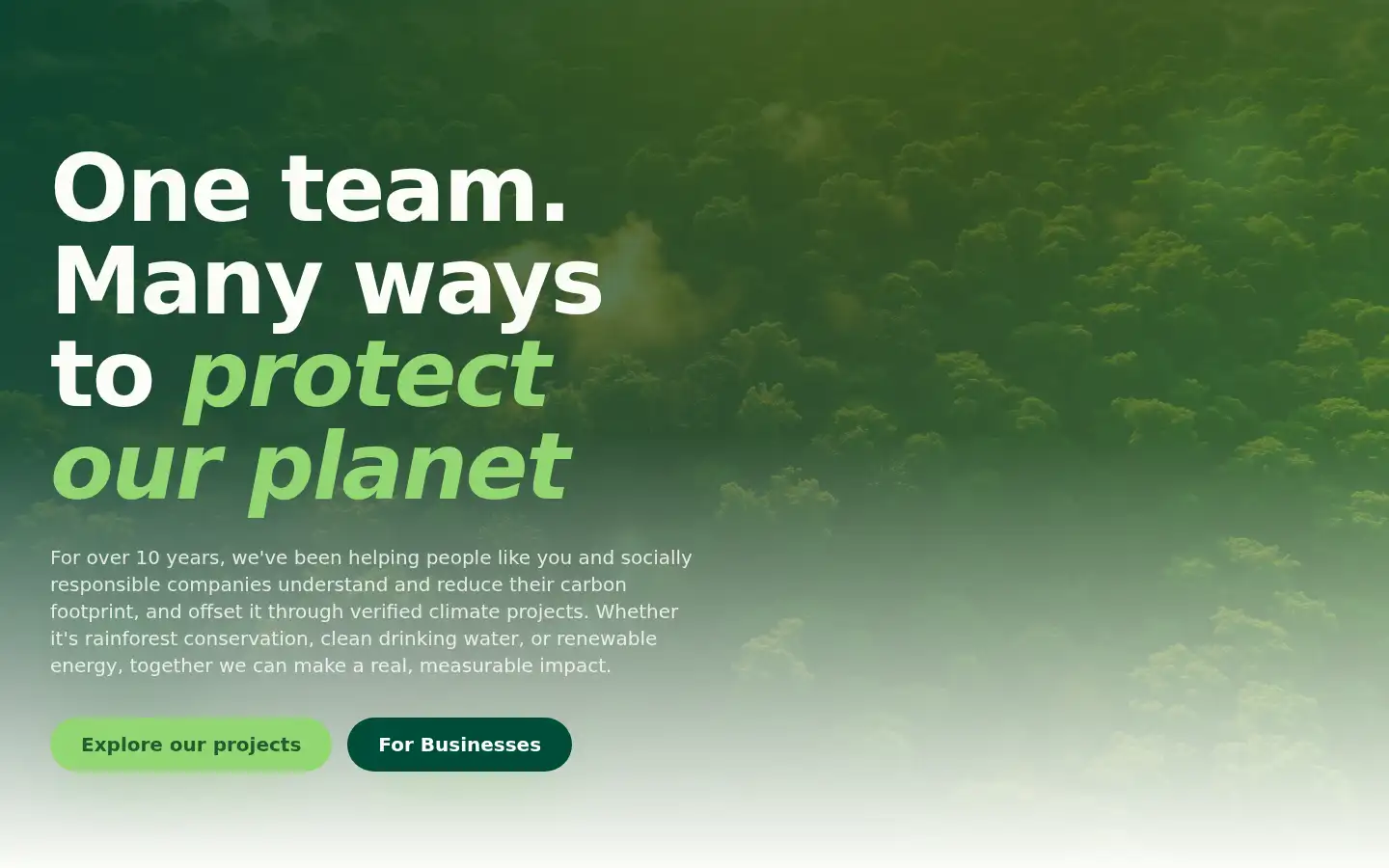 Screenshot of teamclimate.com