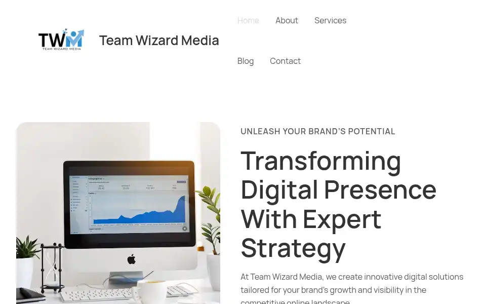 Screenshot of teamwizardmedia.in