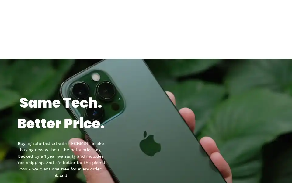 Screenshot of techmintstore.com