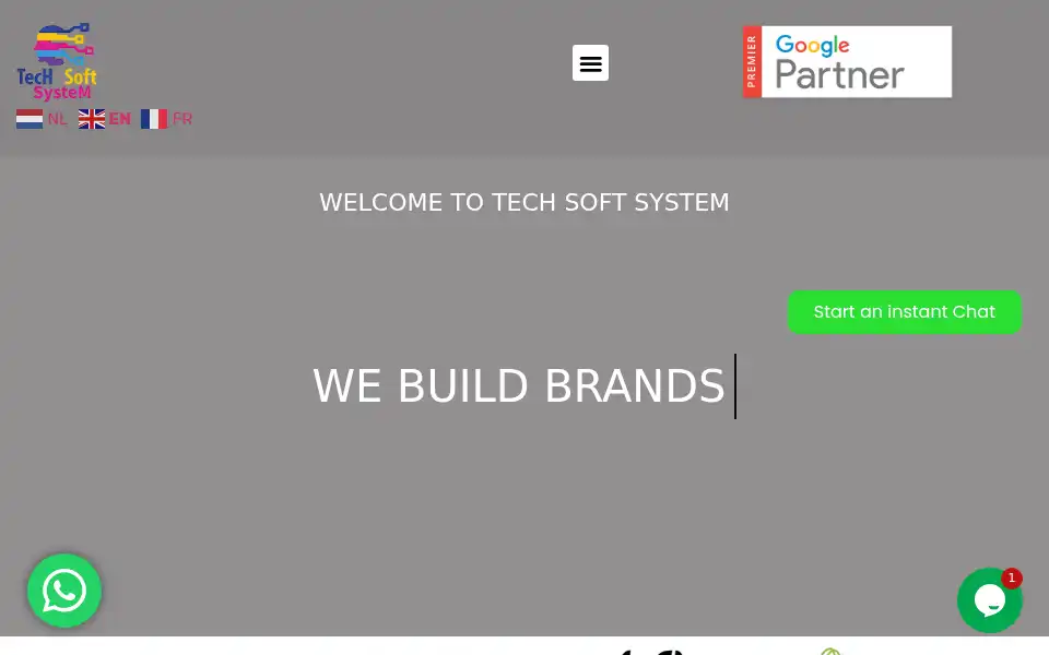 Screenshot of techsoftsystem.com
