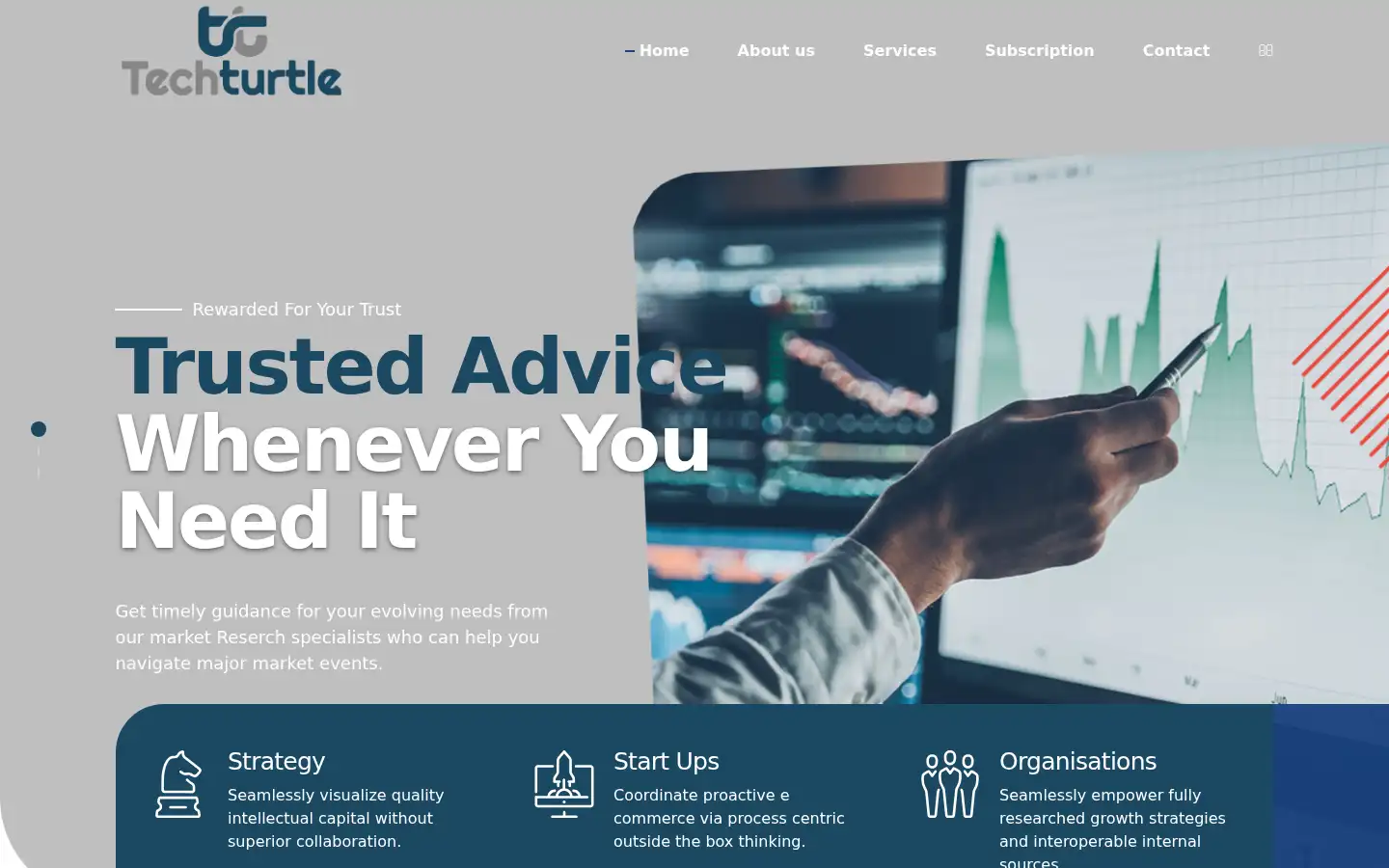Screenshot of techturtleconsultant.com