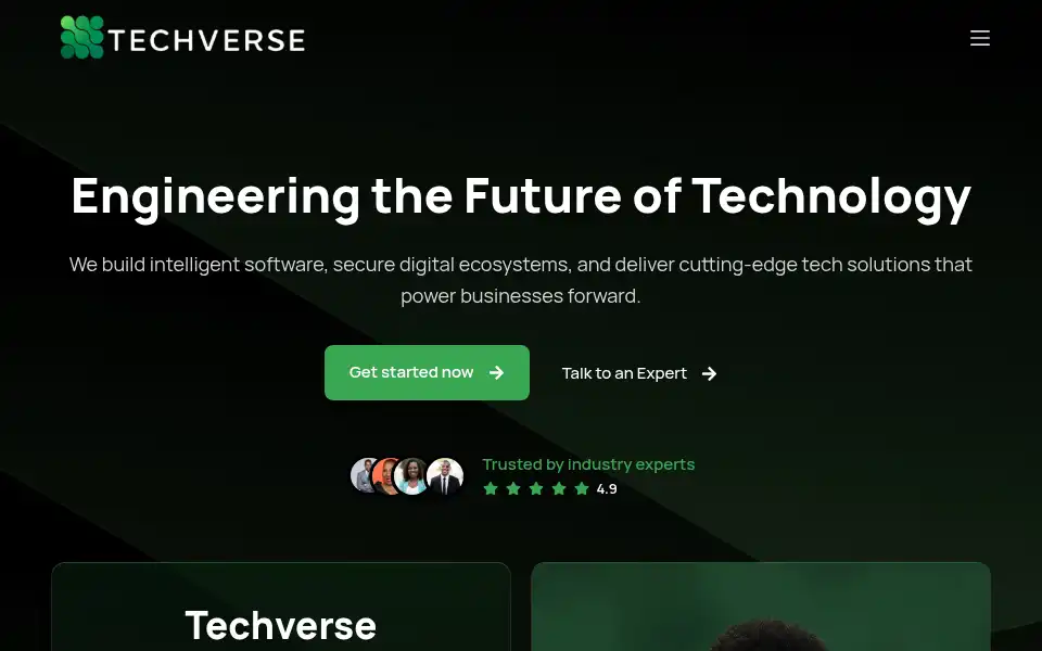 Screenshot of techverse.ng