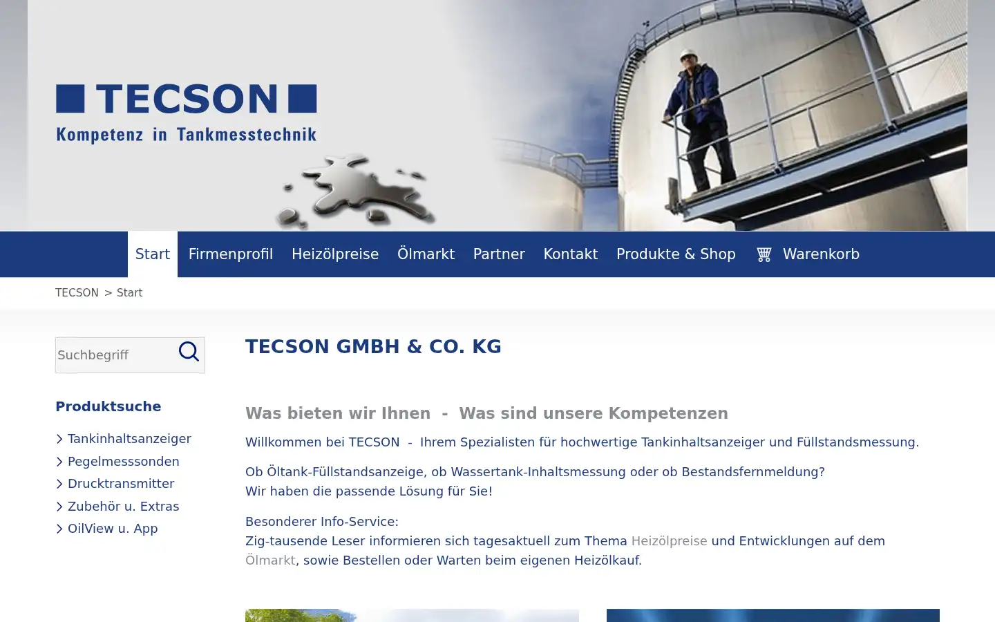 Screenshot of tecson.de