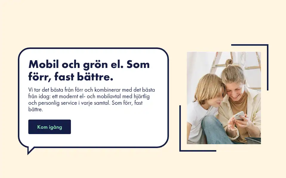 Screenshot of telemer.se