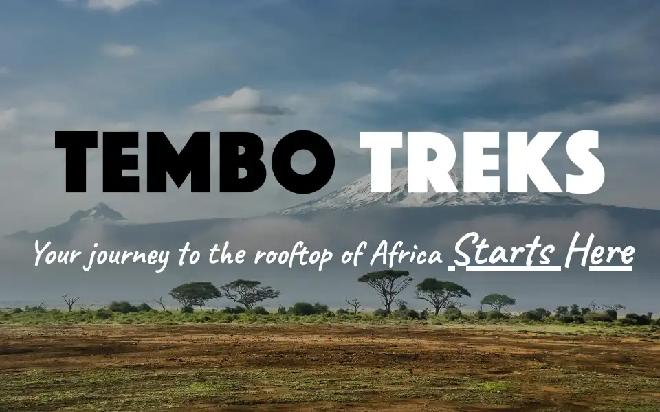 Screenshot of tembotreks.com