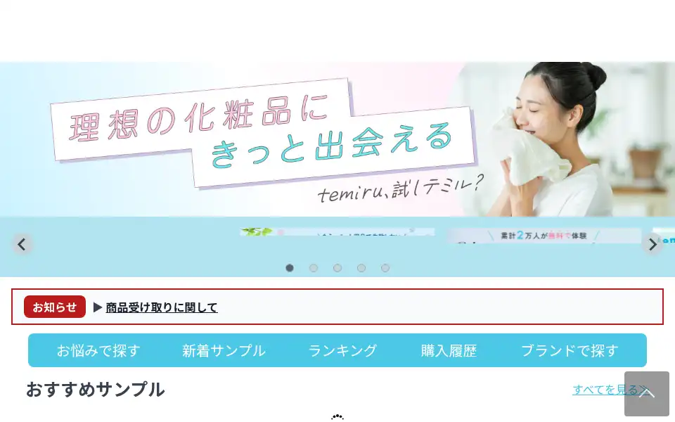 Screenshot of temirun.com