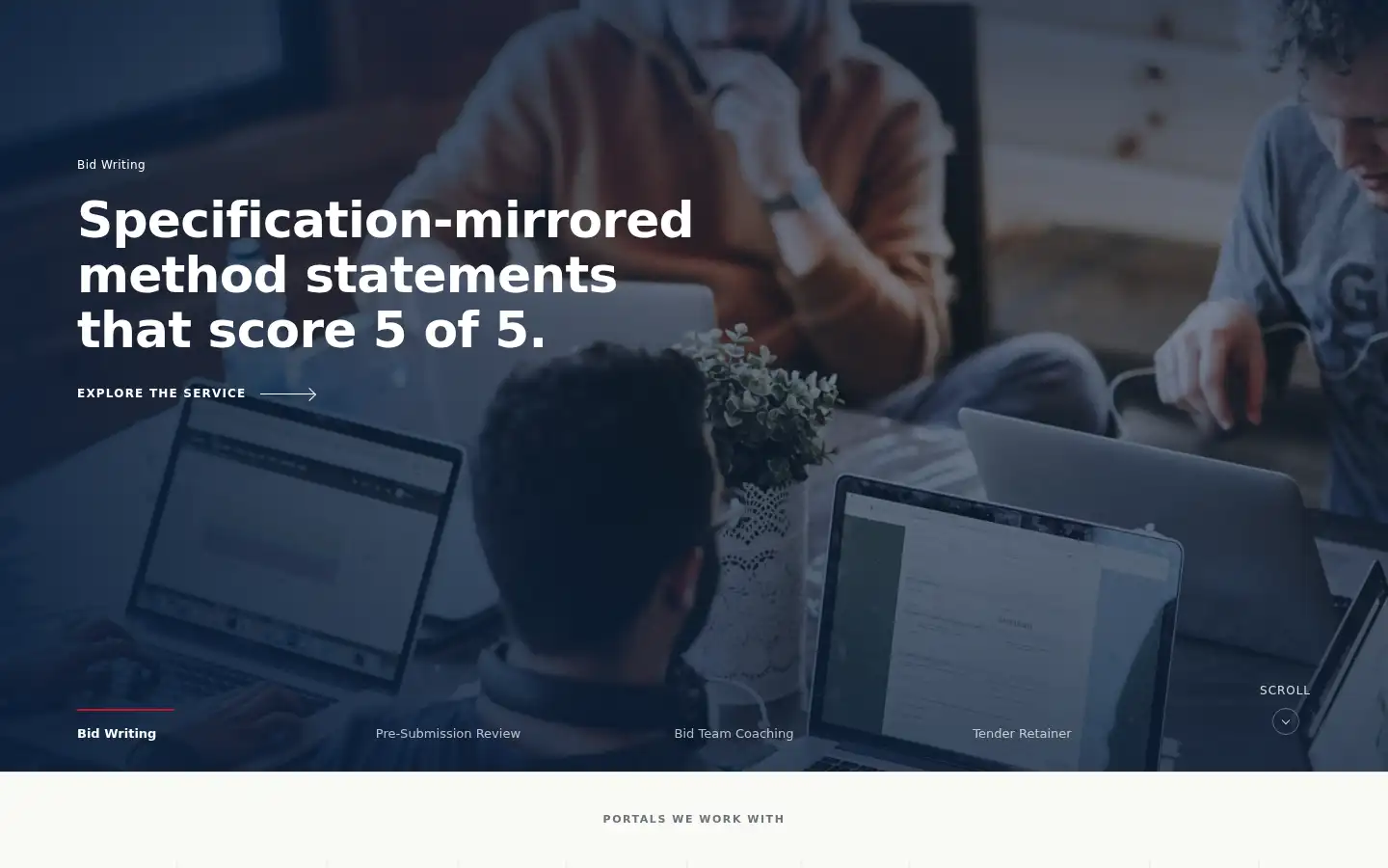 Screenshot of tenderlab.co.uk