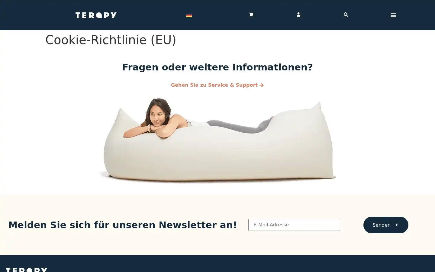 Screenshot of terapy.de