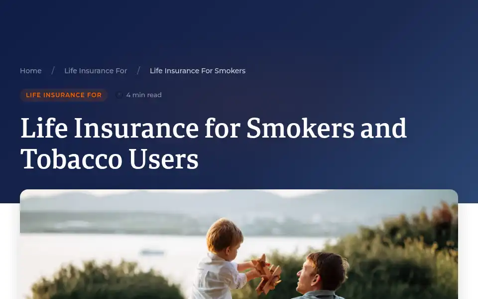 Screenshot of termhero.com