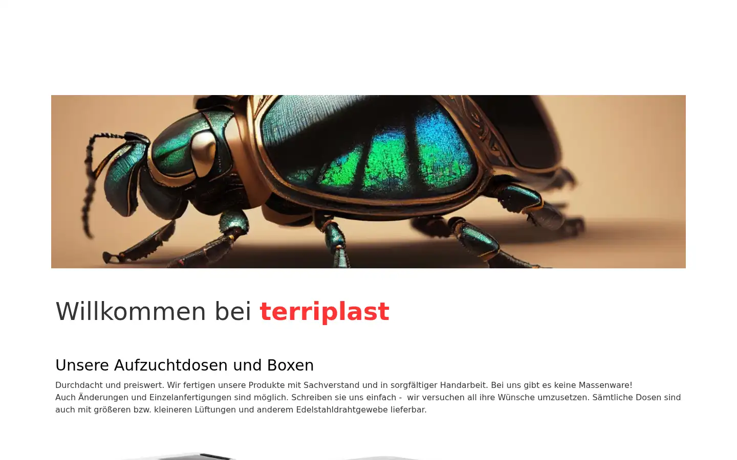 Screenshot of terriplast.de