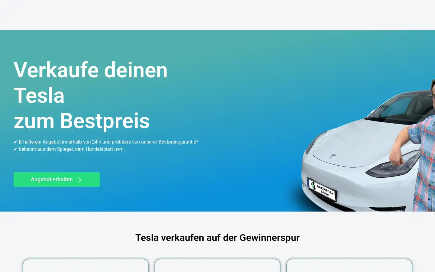 Screenshot of tesla-verkaufen.com