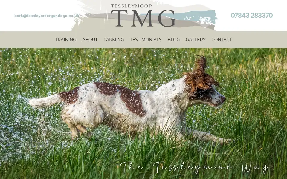 Screenshot of tessleymoorgundogs.co.uk