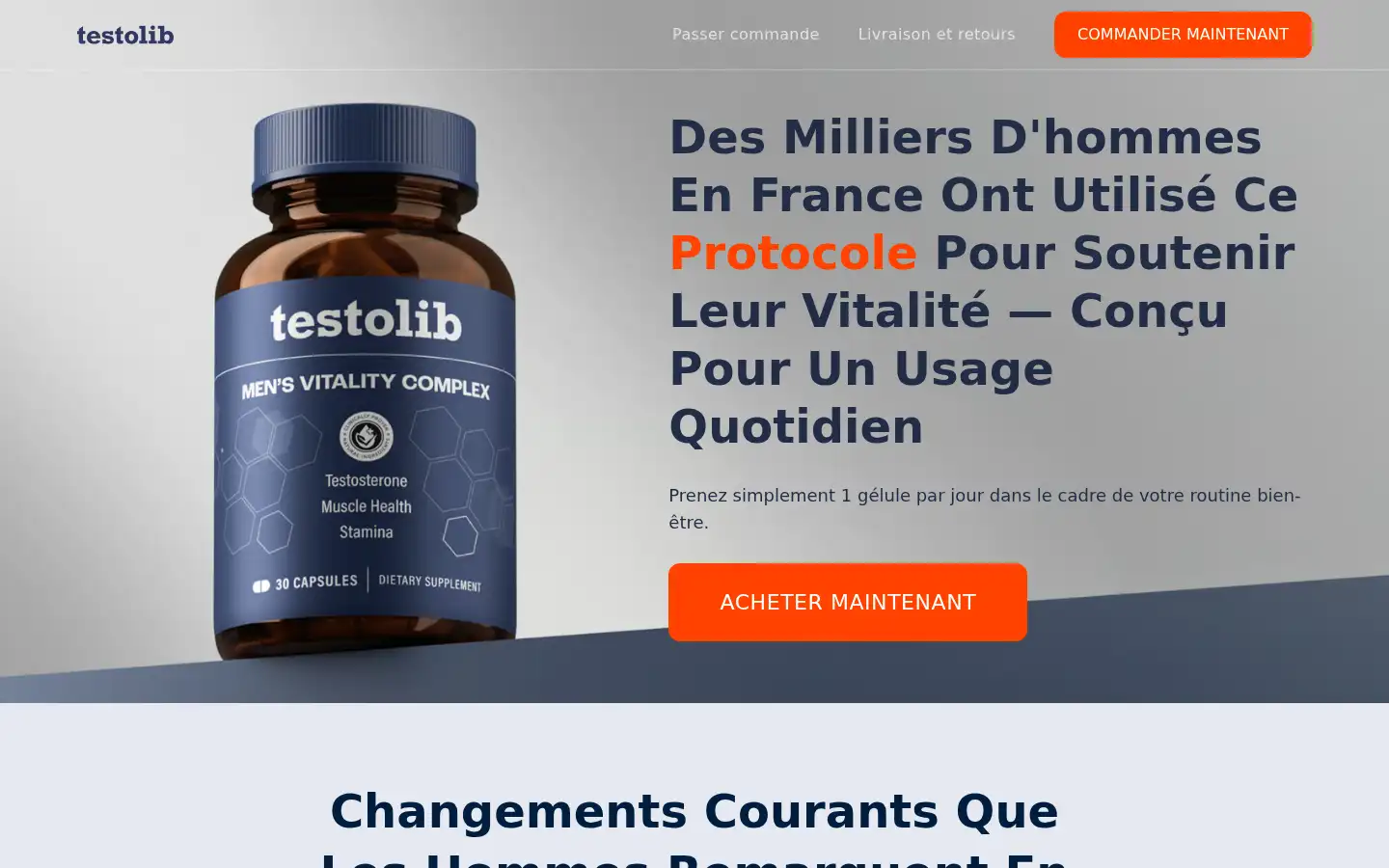 Screenshot of testolib.com