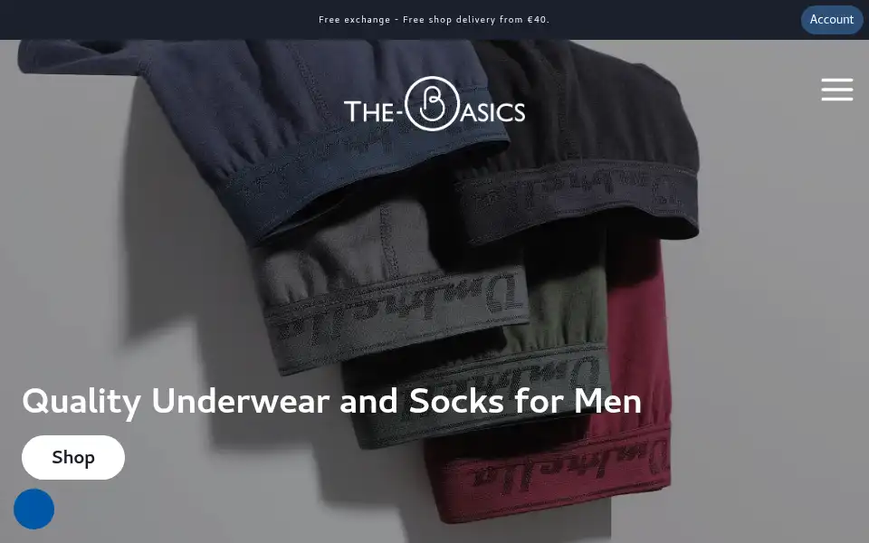 Screenshot of the-basics.com