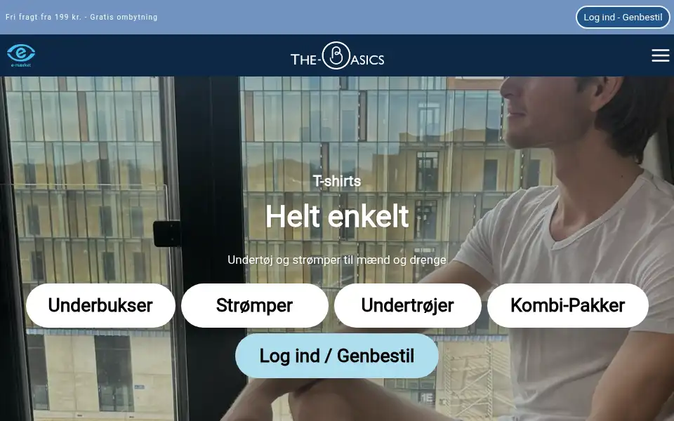Screenshot of the-basics.dk