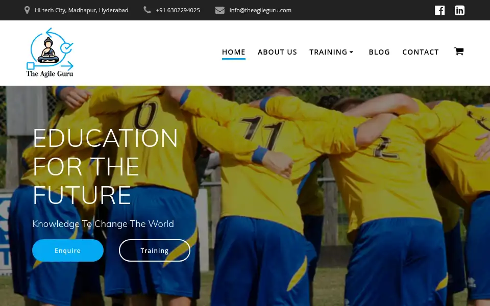 Screenshot of theagileguru.com