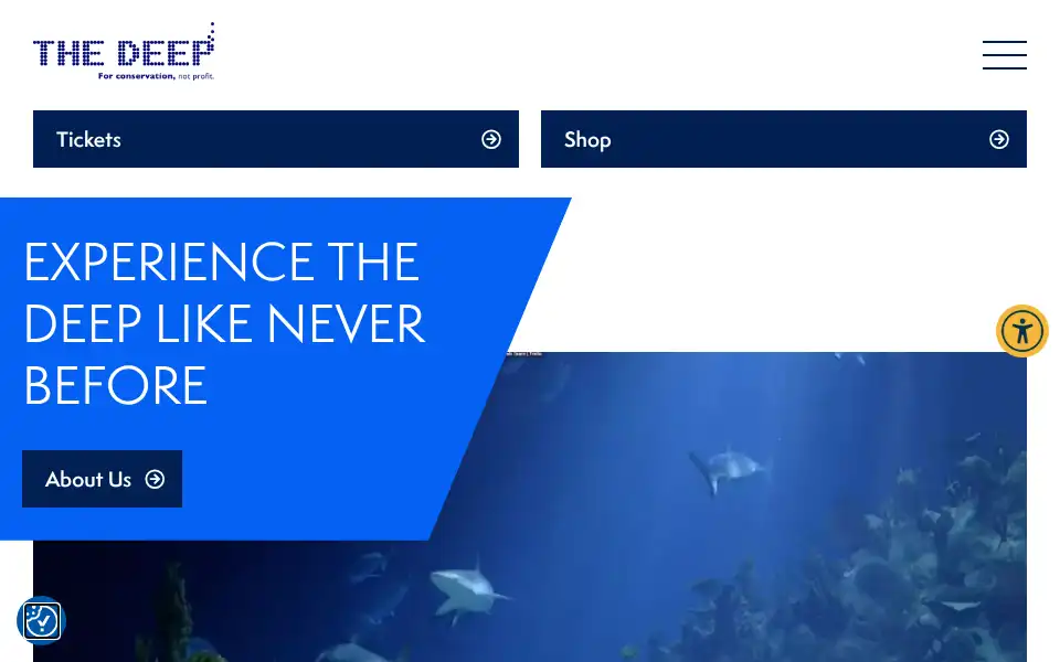 Screenshot of thedeep.co.uk