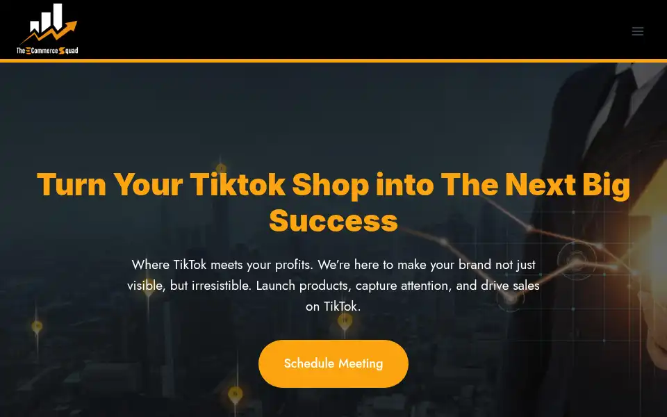 Screenshot of theecommercesquad.com