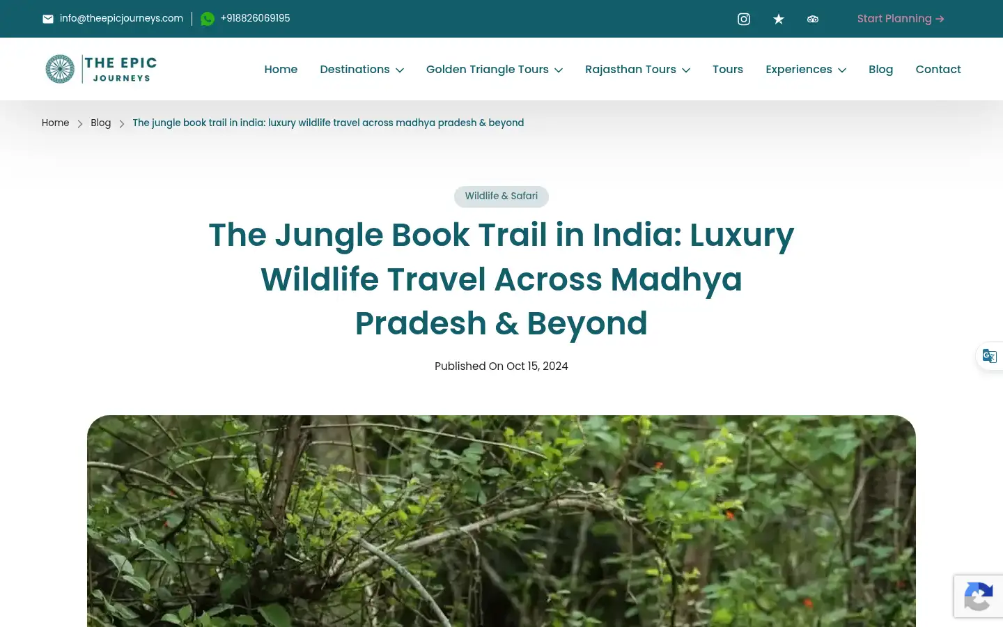 Screenshot of theepicjourneys.com