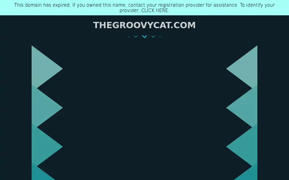 Screenshot of thegroovycat.com