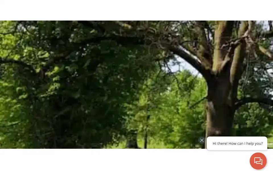Screenshot of thegrove.co.uk