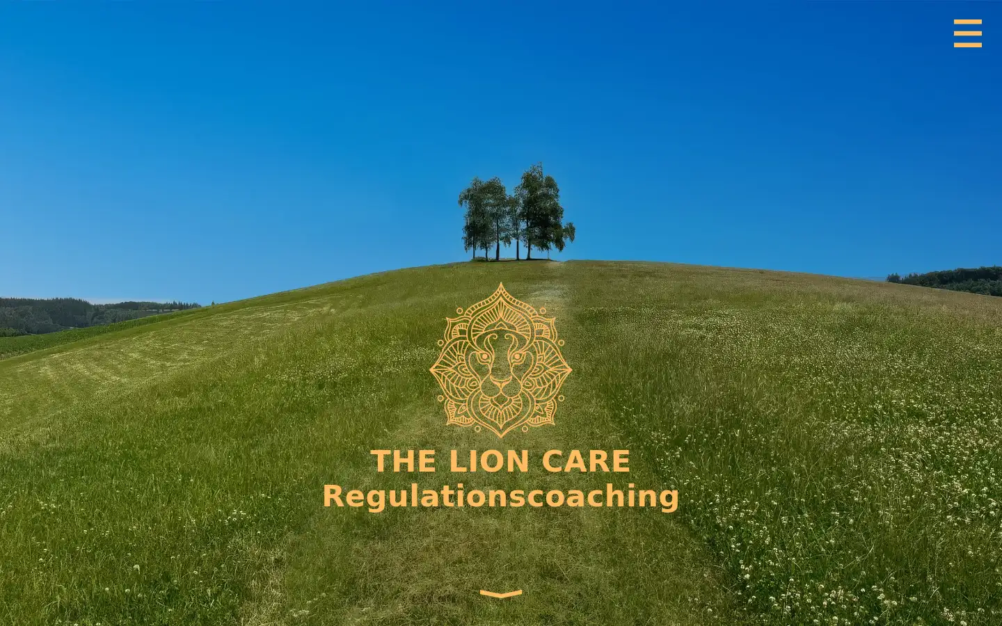 Screenshot of thelioncare.com