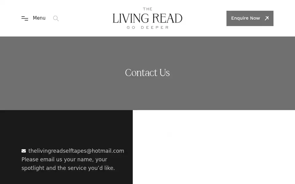 Screenshot of thelivingread.com