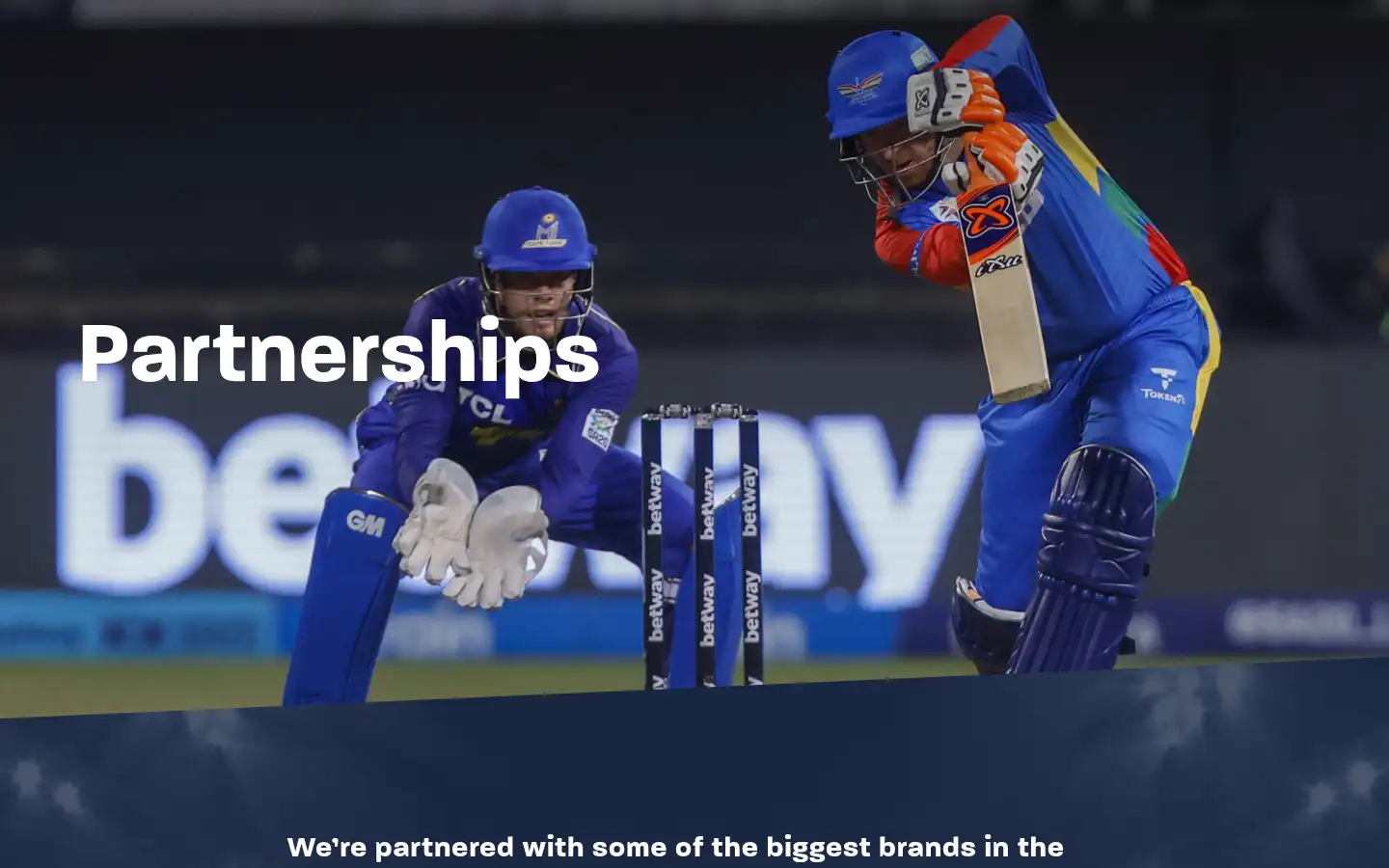 Screenshot of thepalacegroup.com
