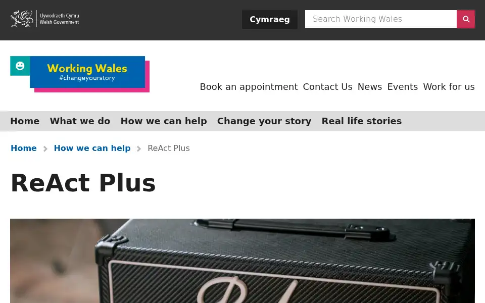 Screenshot of therapyandcounselling.co.uk