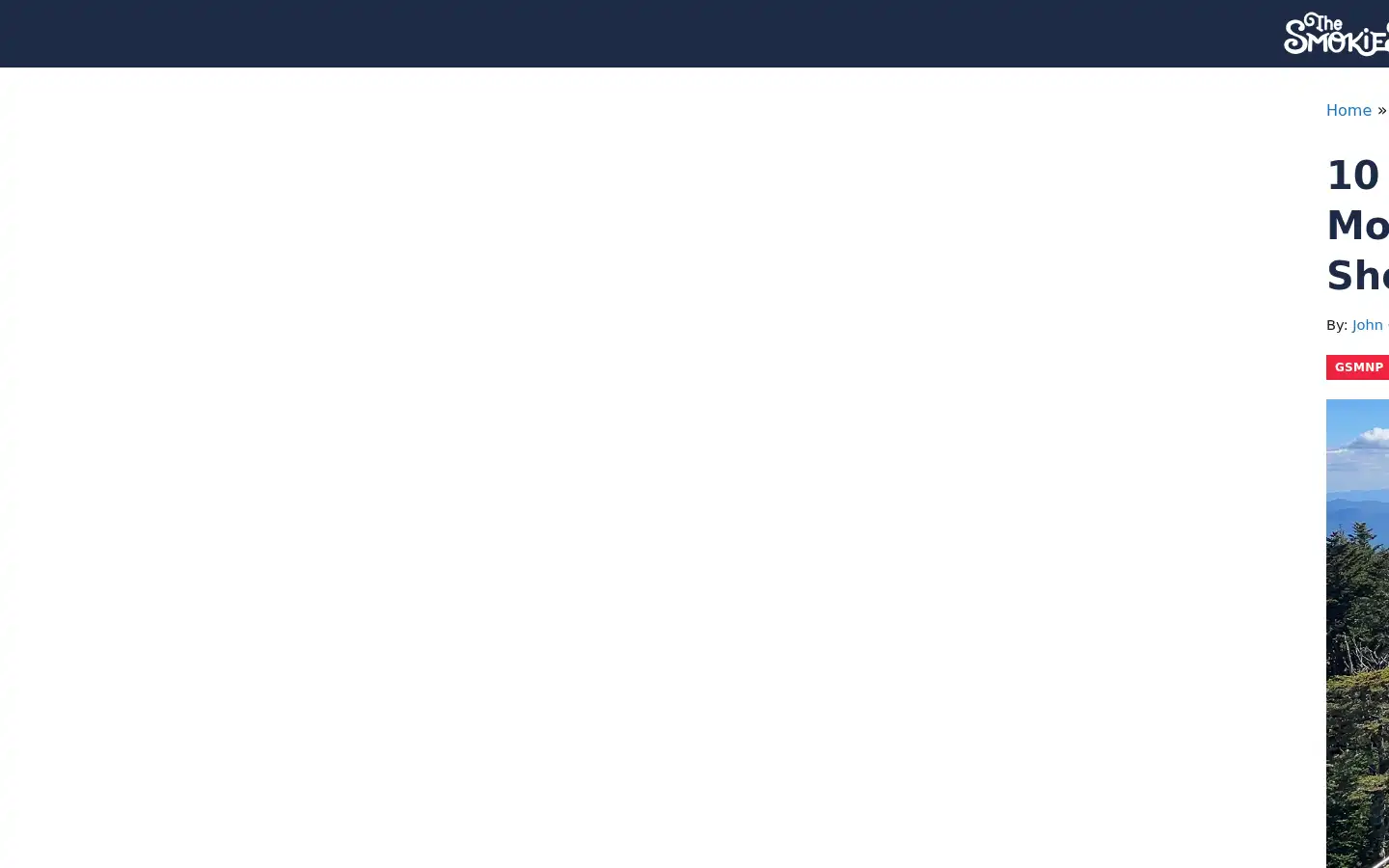 Screenshot of thesmokies.com