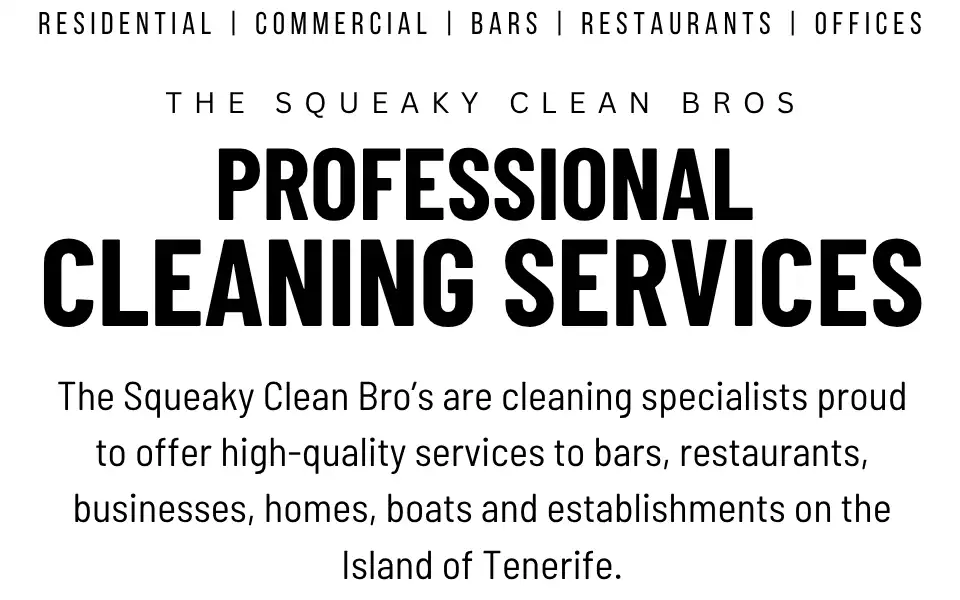 Screenshot of thesqueakycleanbros.com